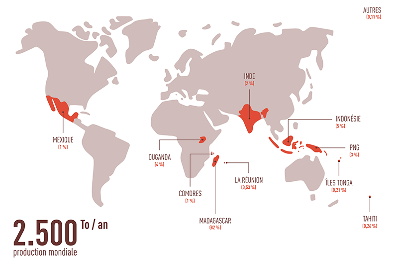 infographie chiffre mondiaux production de vanille