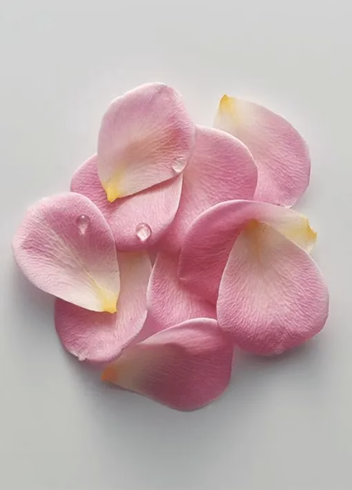 alliances eau de rose Norohy