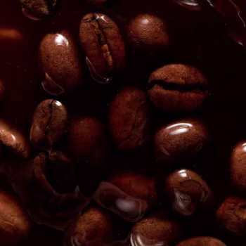 NOROHY coffee bean paste