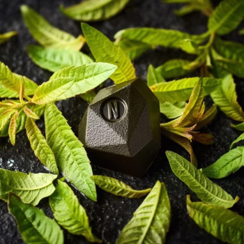 Tadoka: the perfect dose of Ginger